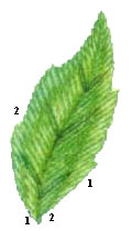 Вариант 1.