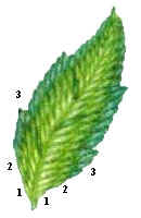 Вариант 2.
