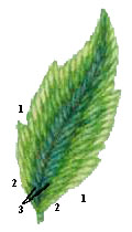 Вариант 3.