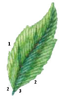 Вариант 4.