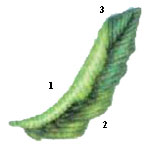 Вариант 6.